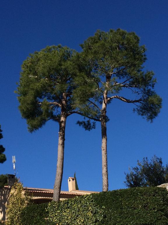 Le Petit Vue 70m2 Cassis